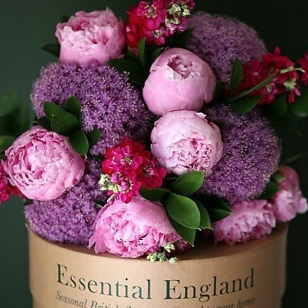 Шикарные цветы