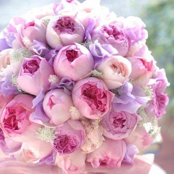 Букет с пионами и розой