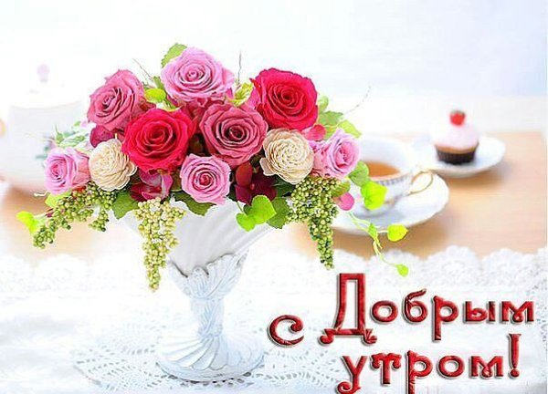 Доброе утро Олечка