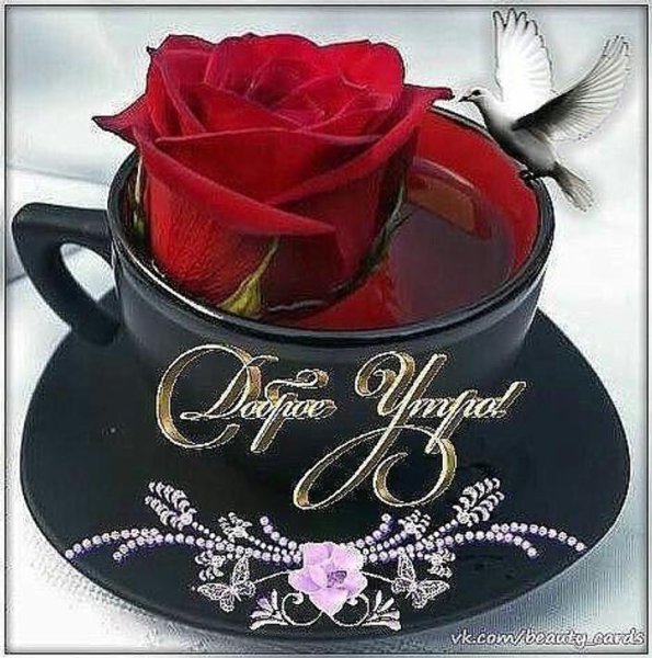 Цветочки для Олечки