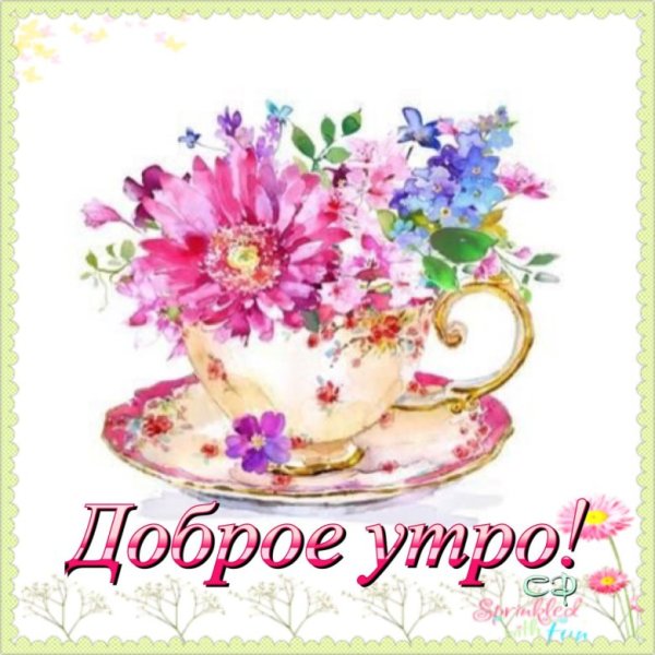 Цветочки для Светочки