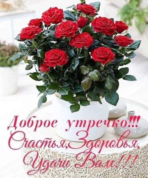 Поздравление с добрым утром