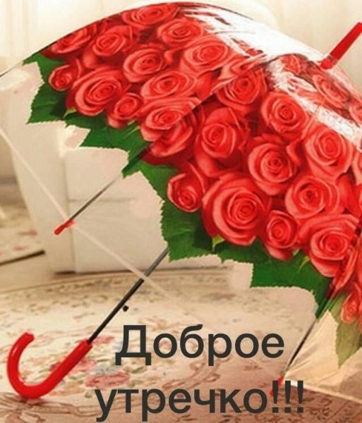 Пожелания с добрым утром женщине