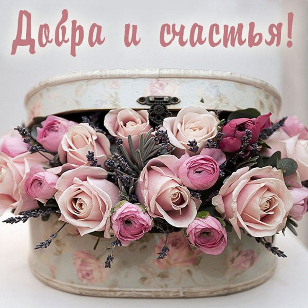 Позитивная Ромашка