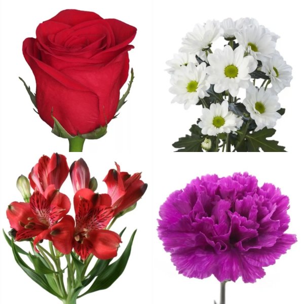 Цветы поштучно