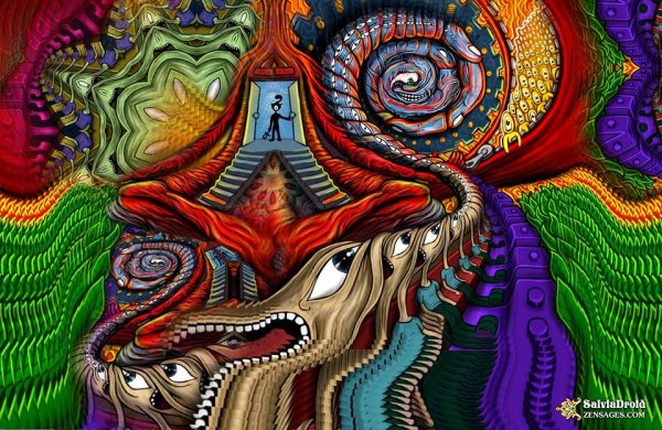 Мозг психоделика