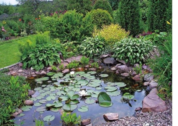 Ландшафтный сад "нимфея парк"
