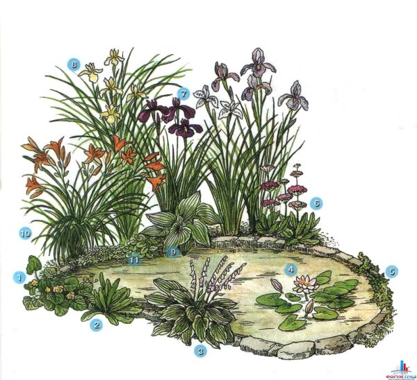 Цветник у водоема