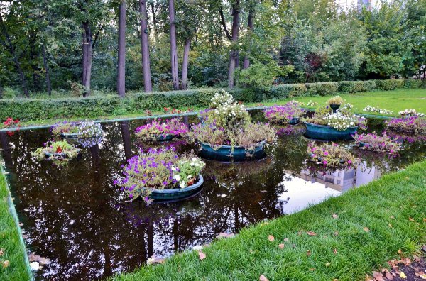 Водный цветник