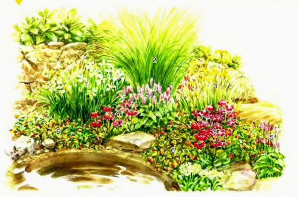 Композиция цветника с водоемом