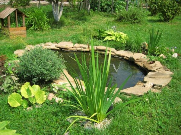 Прудик Сидоровское