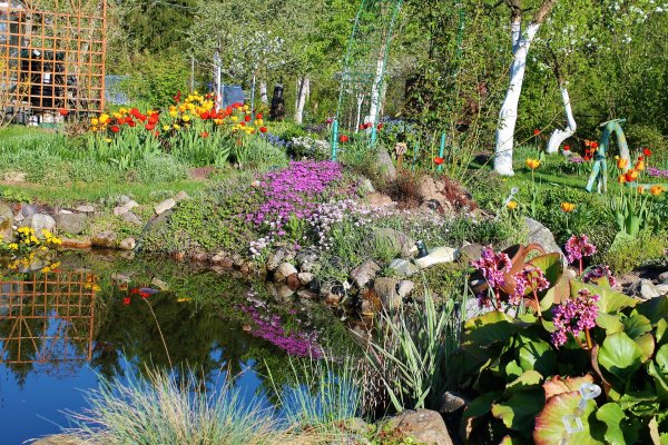 Цветник у водоема