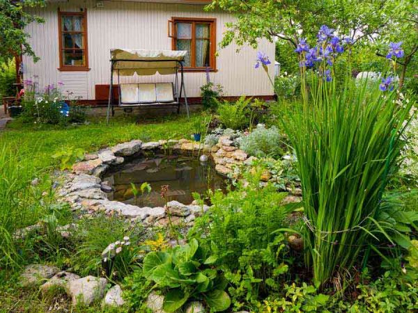 Цветник около пруда