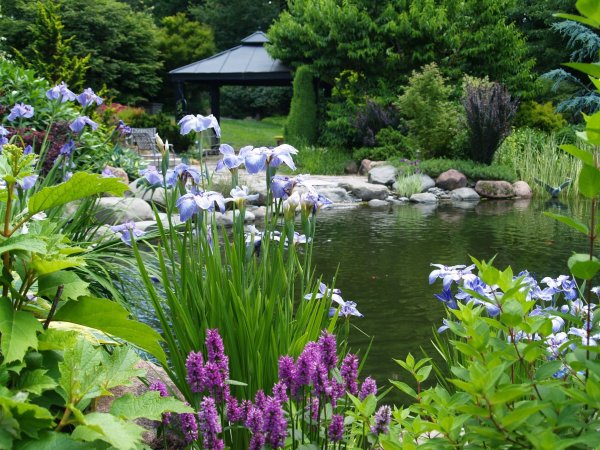 Уэйбридж Водный сад