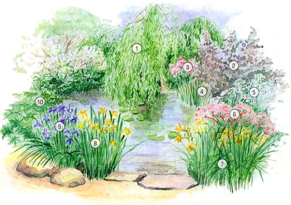 Цветник у водоема с ассортиментом