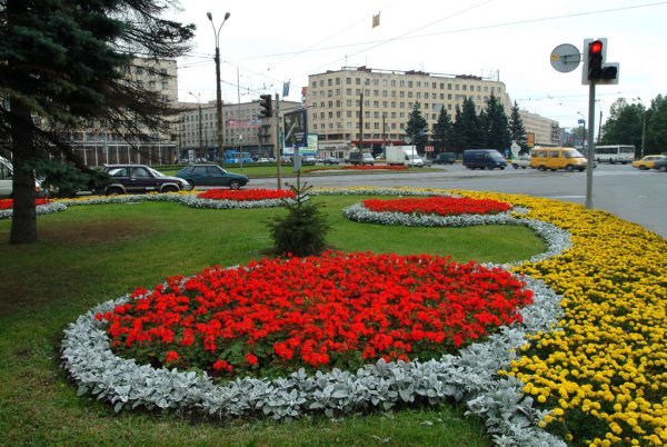 Клумбы Нижнего Тагила