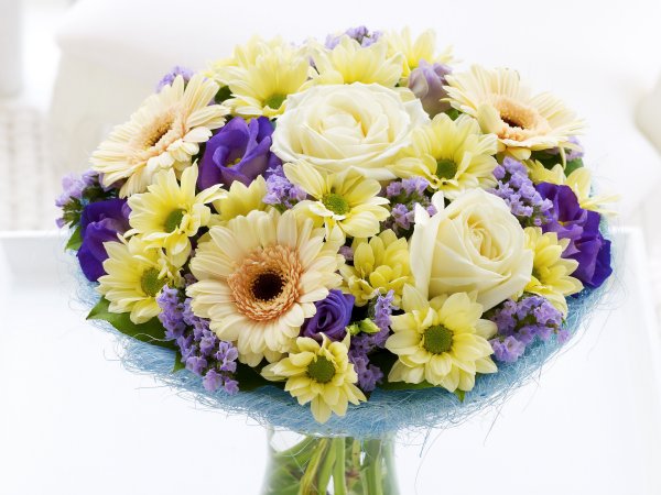 Кустовые розы Высоково