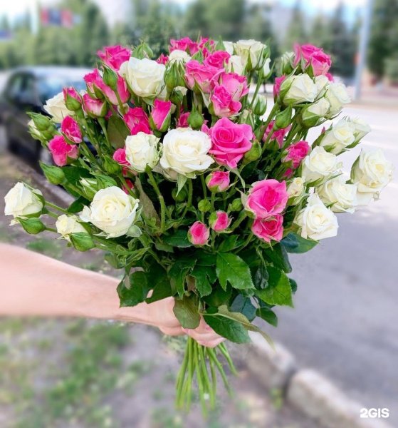 Букет 51 роза купить