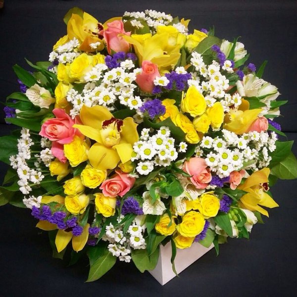 Ева цветок Уфа