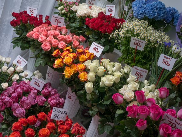 Необычные букеты