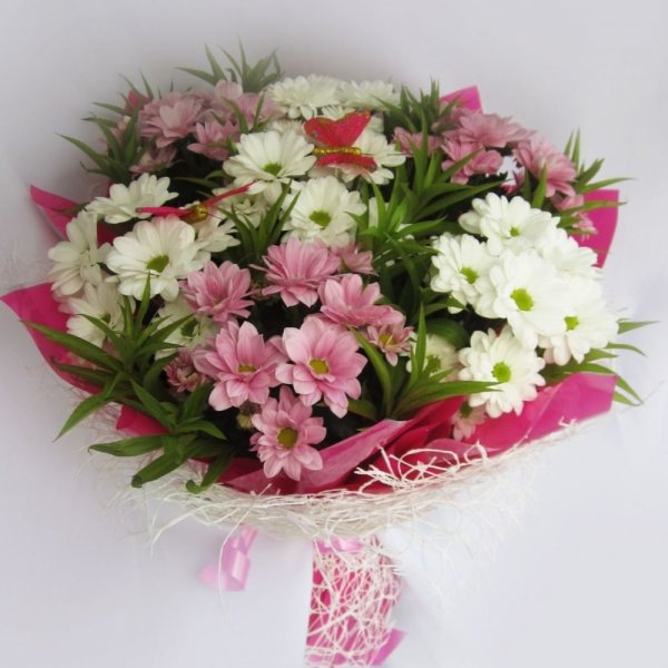 Цахикнер Цахикнер