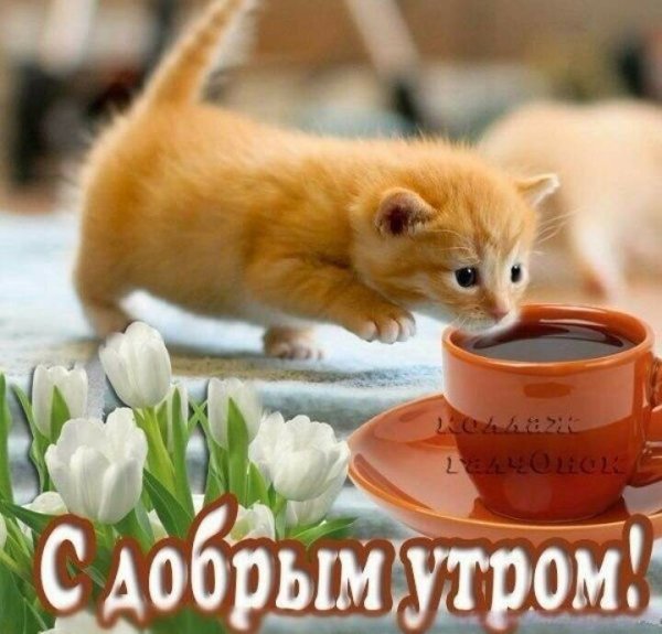 С добрым утром