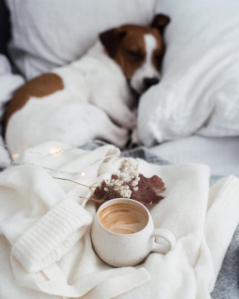 Открытки с добрым утром с детьми