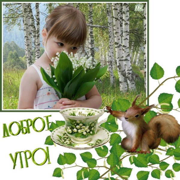 Летнее доброе утро с собаками