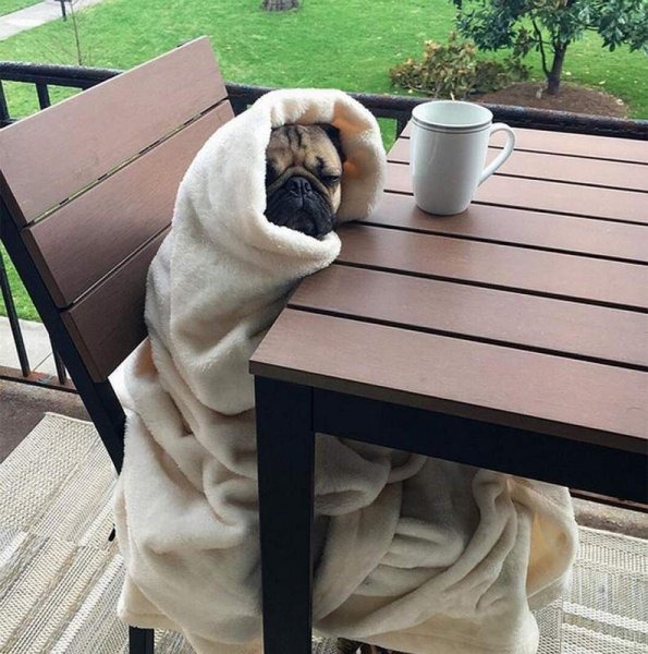 Рисунки с добрым утром