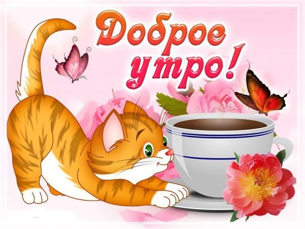 Очаровательные ежики Елены Ереминой