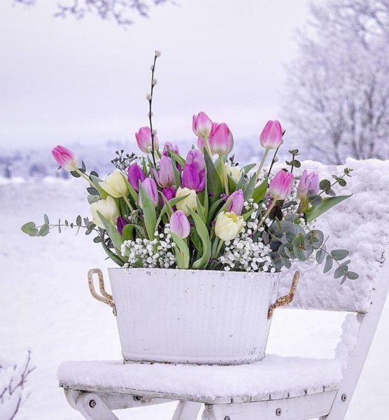 Букет на снегу