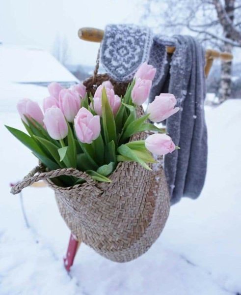Весенний букет зимой