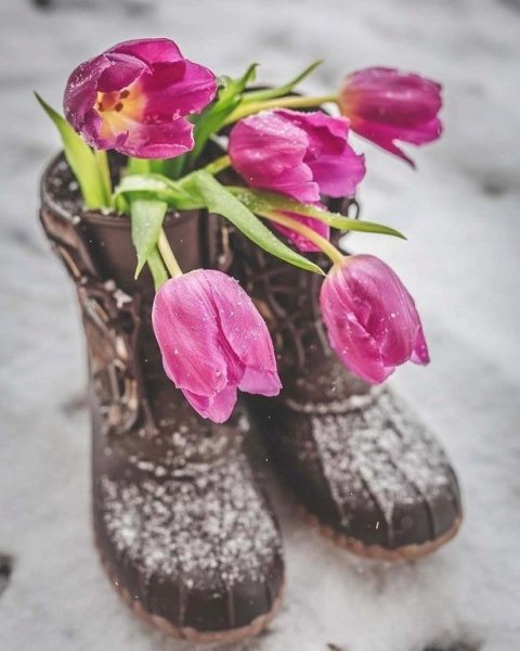 Снежный декабрь