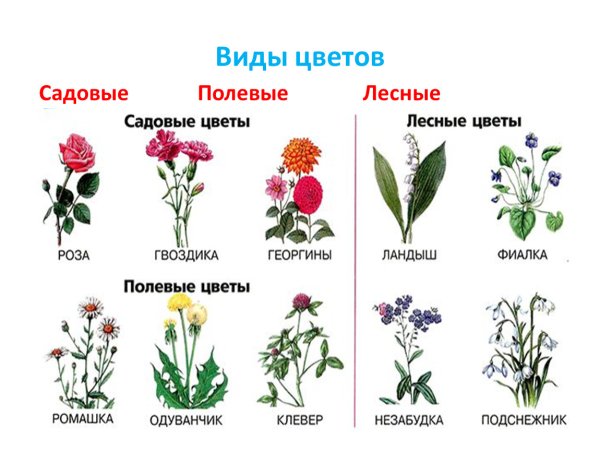 Рисование Поляна цветов