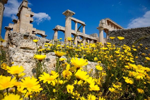 Растения Греции