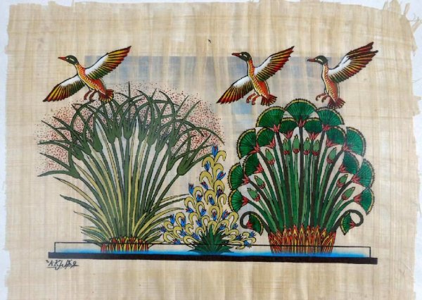 Сесен цветок лотоса Египетский Папирус