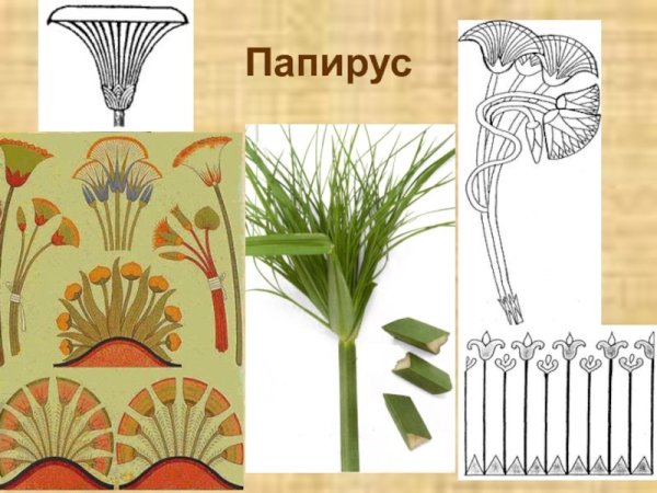 Орнамент древнего Египта Папирус