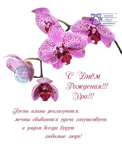 С Днем рождения Анне картинка с орхидеями и стихами - скачать бесплатно