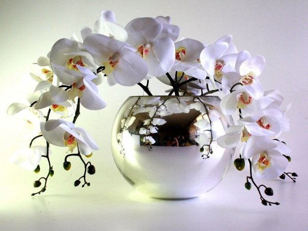 Открытки с днём рождения женщине с орхидеями