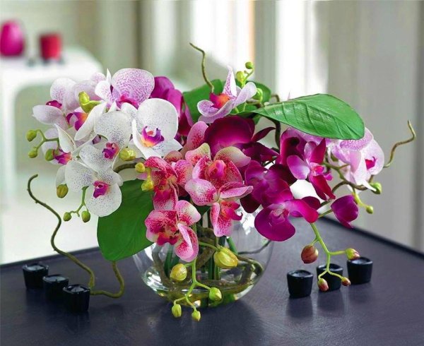 Цветы орхидеи с бабочками