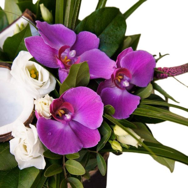 Поздравления с орхидеями