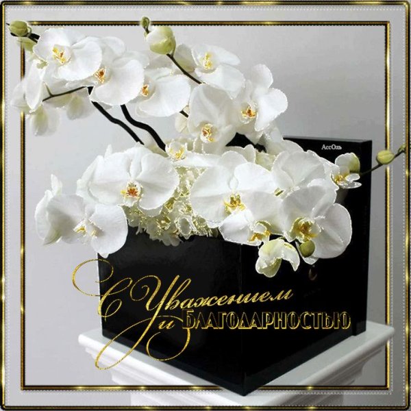 Конверт-открытка для денег с орхидеями. С Днем Рождения