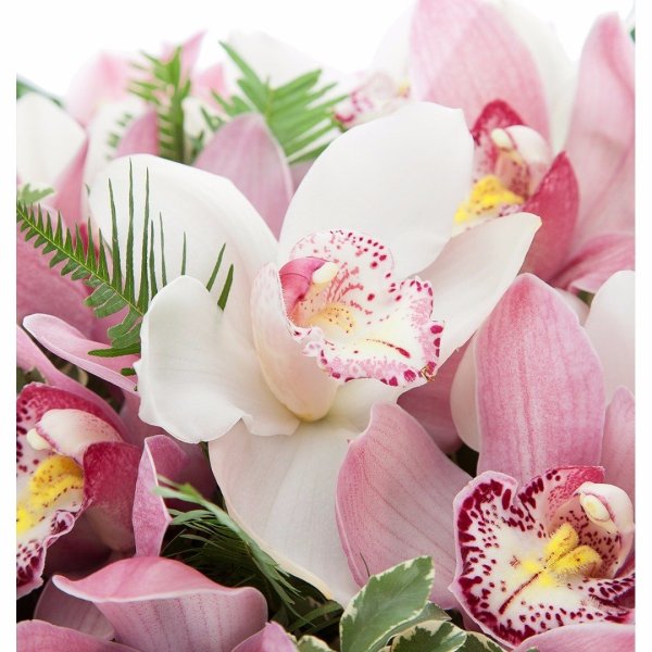 Цветы лилии орхидеи букет
