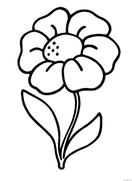 Цветы раскраска для детей