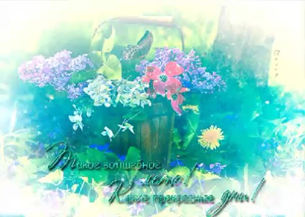 Красочные открытки с летом