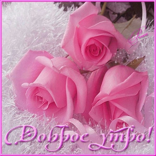 Открытки с добрым утром с розами