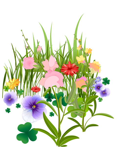 Травка с цветочками