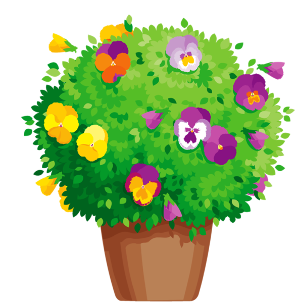 Цветочные бордюры на прозрачном фоне