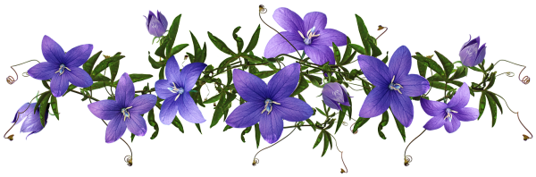 Маленькие цветочки на белом фоне