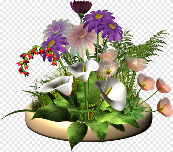 Клумба с цветами на прозрачном фоне